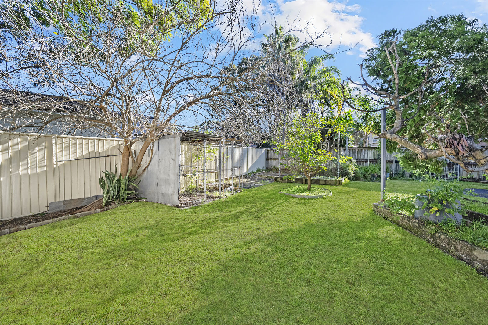 1P0017-Marsfield-2025-07-30-132652-6
