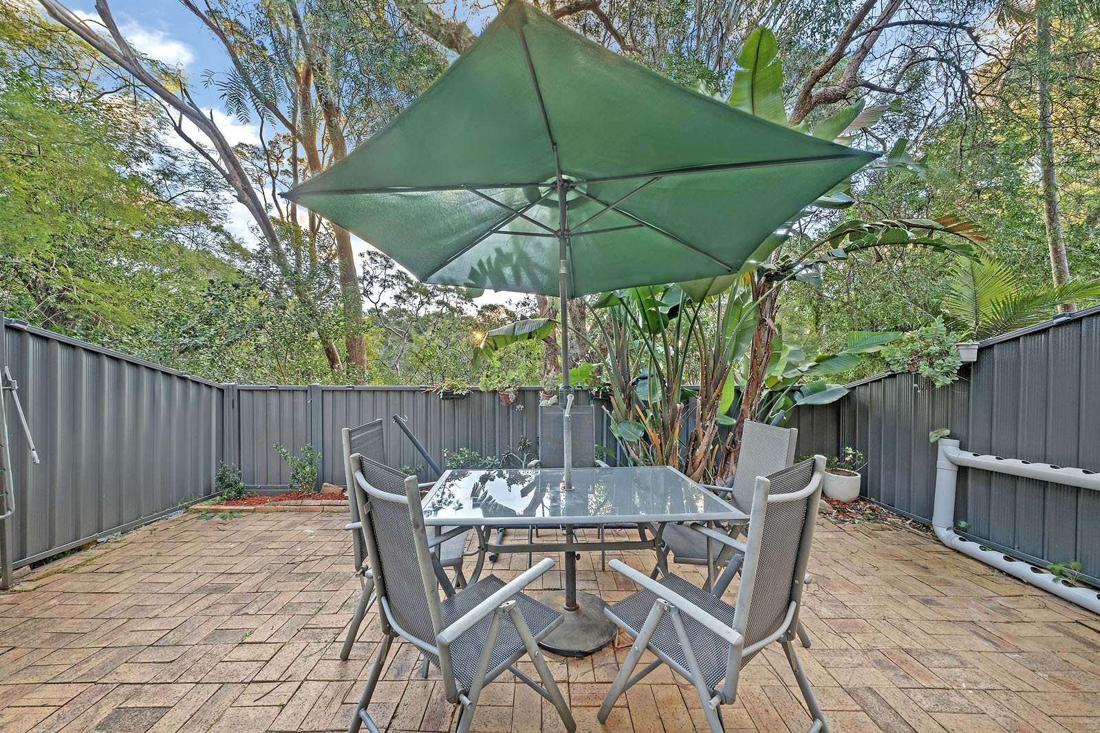 1P0009-Marsfield-2025-06-26-153429-9