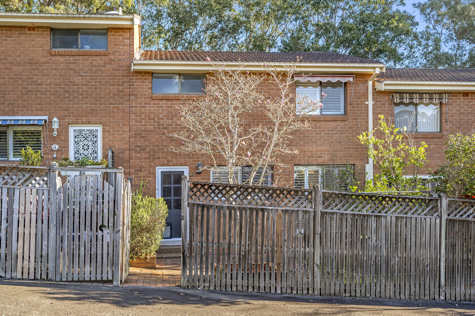 1P0037-Marsfield-2025-08-07-162435-2