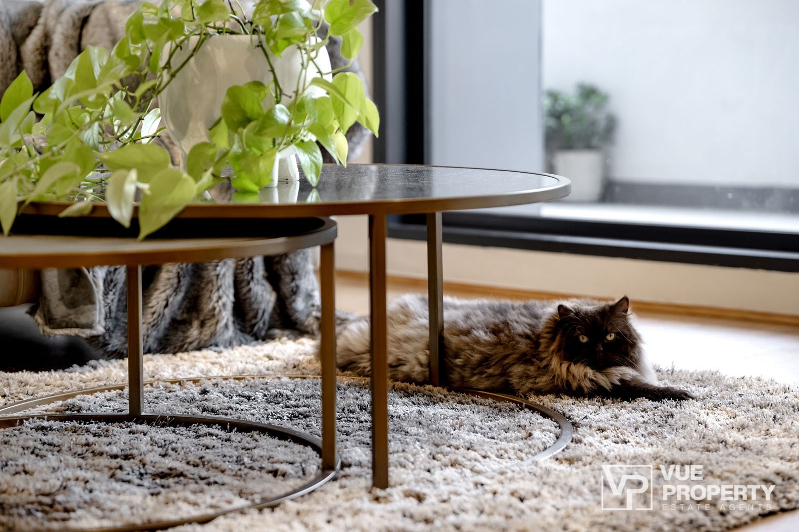 1P0108-Macquarie-Park-2025-10-28-164108-2