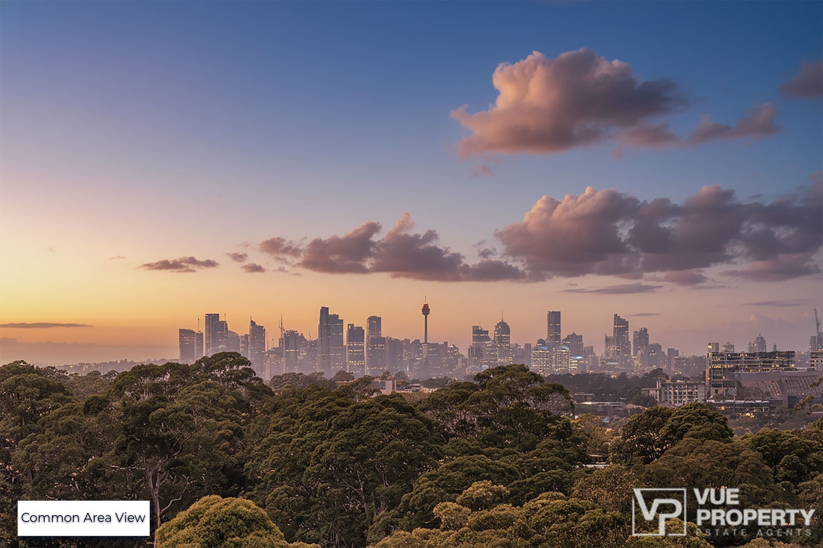 1P0161-Eastwood-2026-01-28-151241-12