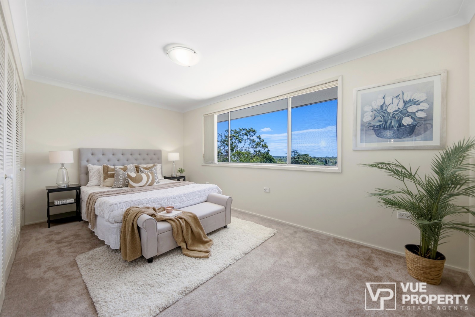 1P0120-Carlingford-2026-02-19-151225-14