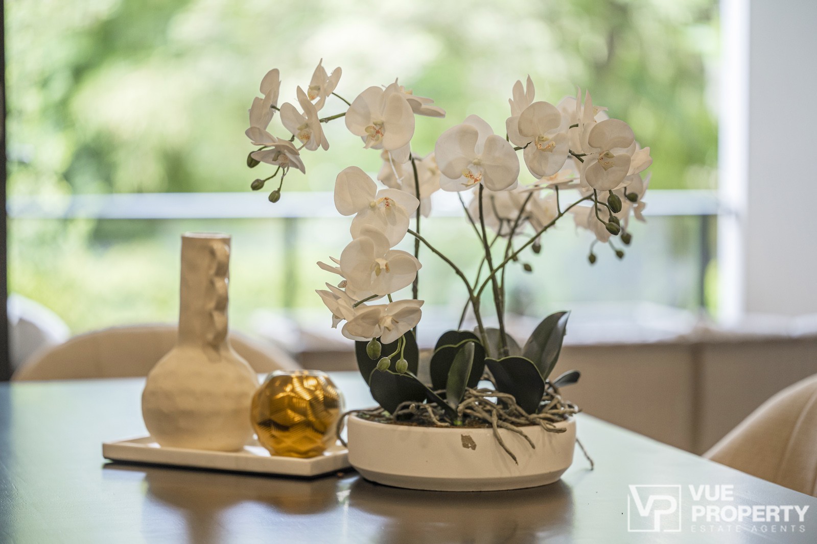 1P0117-Carlingford-2026-03-02-145434-13