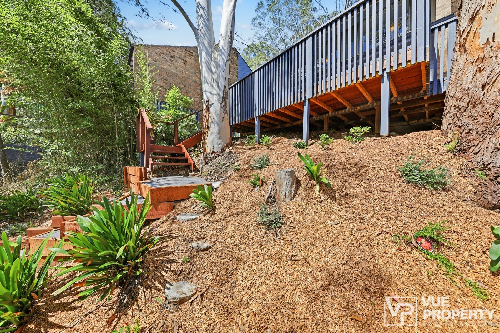 1P0215-Marsfield-2026-03-05-124251-15