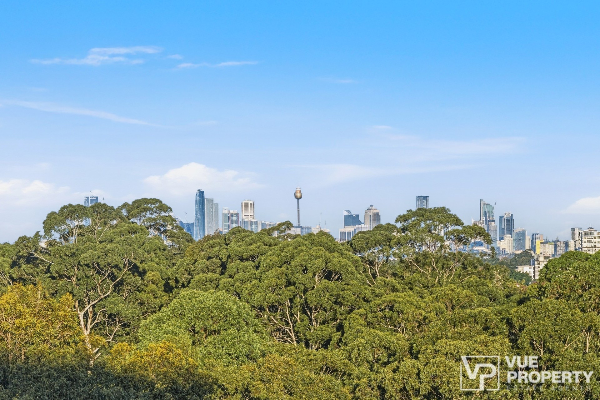 1P0291-Eastwood-2026-06-02-120737-1